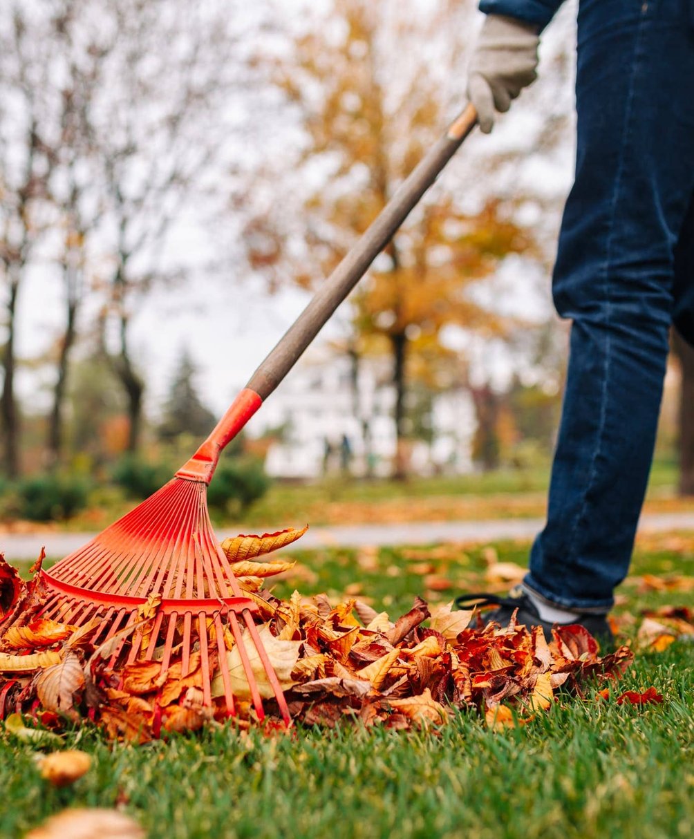fall leaf cleanup service in Kansas City