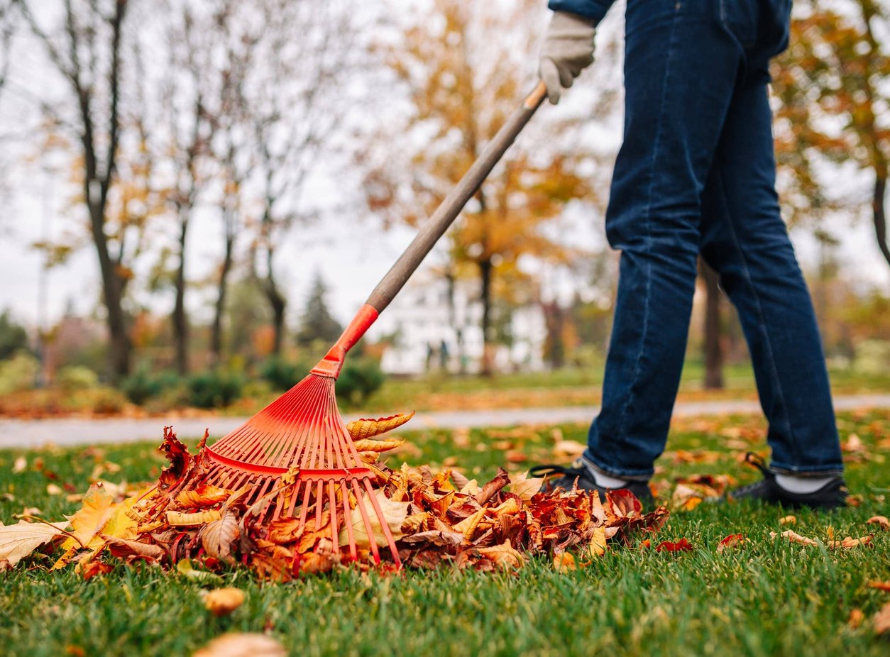 leaf blower yard cleanup