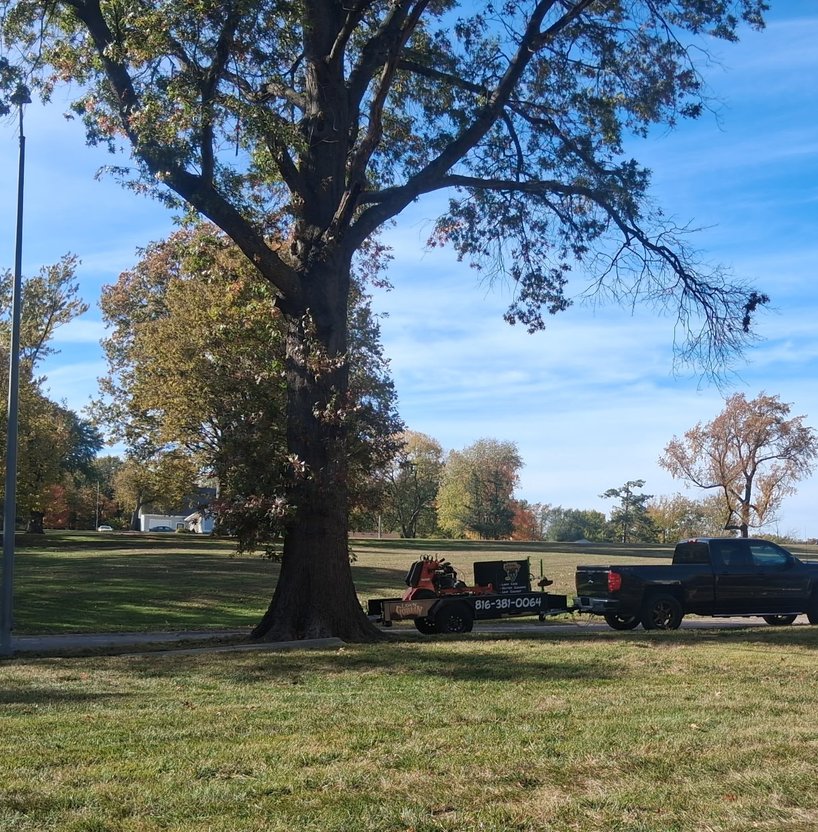 lawn service property cleanup